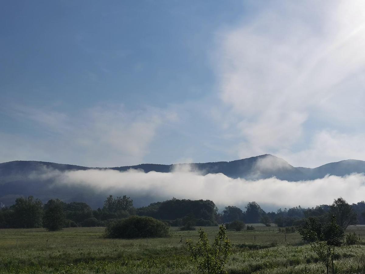 Vila Antik Ilirska Bistrica Kültér fotó